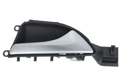Exterior Door Handle BLIC 6010-02-068408P