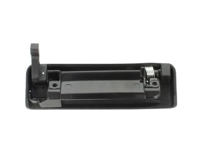 Exterior Door Handle BLIC 6010-03-024402P