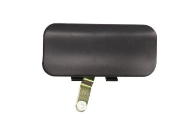 Exterior Door Handle BLIC 6010-03-025402P