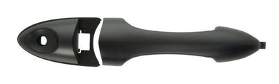 Exterior Door Handle BLIC 6010-03-028405P