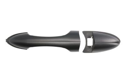 Exterior Door Handle BLIC 6010-03-028406P