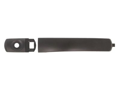 Exterior Door Handle BLIC 6010-03-032401P