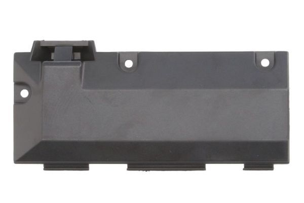 BLIC 6010-03-032418P Glove Compartment Lock