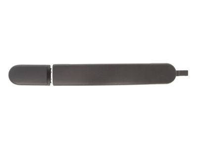 Exterior Door Handle BLIC 6010-03-033402P