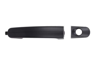 Exterior Door Handle BLIC 6010-03-039401P