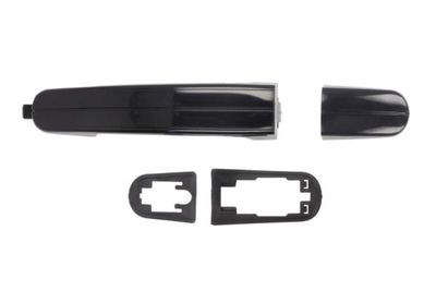 Exterior Door Handle BLIC 6010-03-039402P