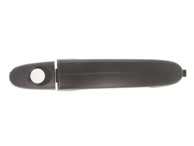 Exterior Door Handle BLIC 6010-03-043401P