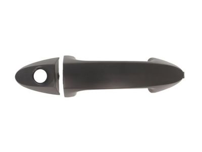 Exterior Door Handle BLIC 6010-03-046401P