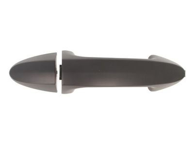 Exterior Door Handle BLIC 6010-03-046402P