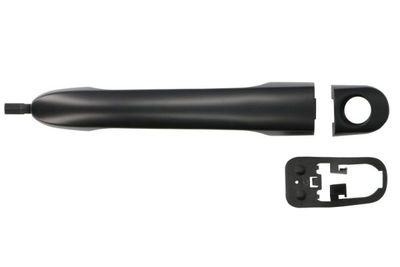 Exterior Door Handle BLIC 6010-03-048401P