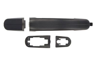 Exterior Door Handle BLIC 6010-03-056402P