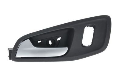 Exterior Door Handle BLIC 6010-03-056409P