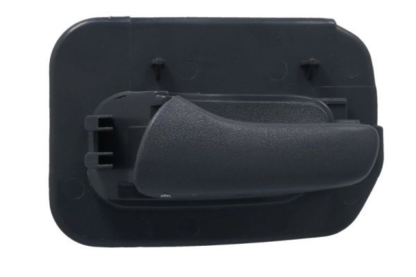 BLIC 6010-04-004409TPP Exterior Door Handle