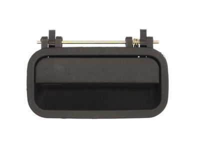 Exterior Door Handle BLIC 6010-04-020406P