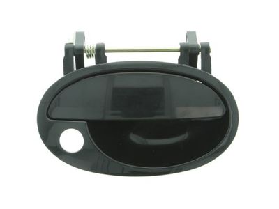 Exterior Door Handle BLIC 6010-04-040402P