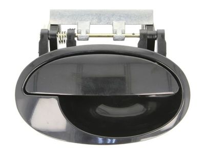 Exterior Door Handle BLIC 6010-04-040404P
