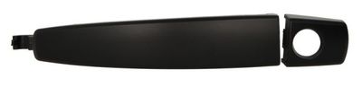 Exterior Door Handle BLIC 6010-04-042401P