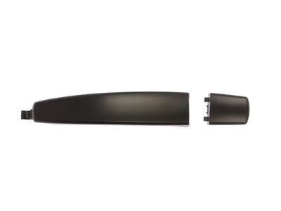 Exterior Door Handle BLIC 6010-04-042402P