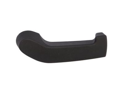 Exterior Door Handle BLIC 6010-04-053410WP