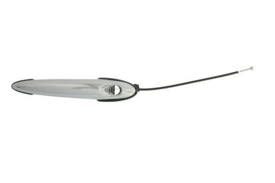 Exterior Door Handle BLIC 6010-05-003401P