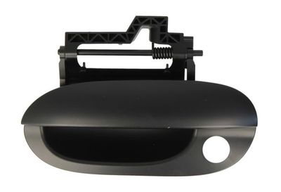 Exterior Door Handle BLIC 6010-05-011401P