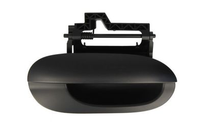Exterior Door Handle BLIC 6010-05-011402P