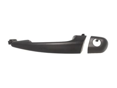 Exterior Door Handle BLIC 6010-05-013401P
