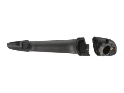 Exterior Door Handle BLIC 6010-05-013403PP