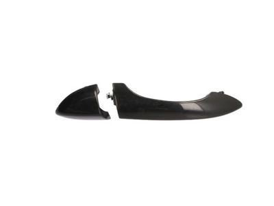 Exterior Door Handle BLIC 6010-05-014402P