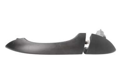 Exterior Door Handle BLIC 6010-05-014403P