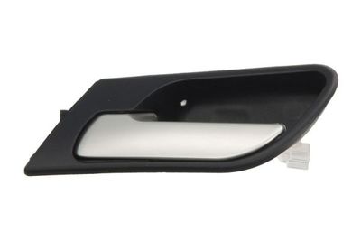 Exterior Door Handle BLIC 6010-05-014409P