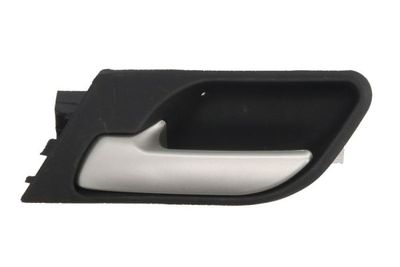 Exterior Door Handle BLIC 6010-05-014409TP