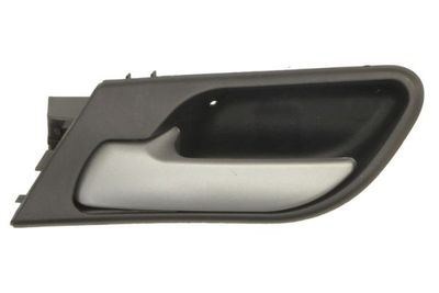 Exterior Door Handle BLIC 6010-05-015409P