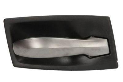 Exterior Door Handle BLIC 6010-05-017408P