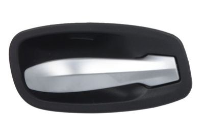 Exterior Door Handle BLIC 6010-05-017408PP