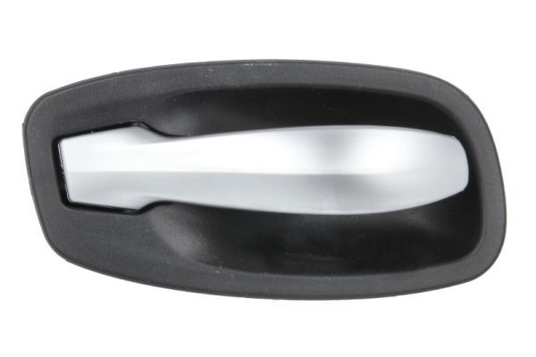 BLIC 6010-05-017409PP Exterior Door Handle
