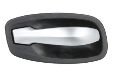 Exterior Door Handle BLIC 6010-05-017409PP