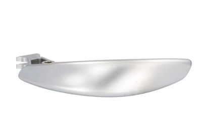 Exterior Door Handle BLIC 6010-05-018408PP