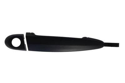 Exterior Door Handle BLIC 6010-05-020402P