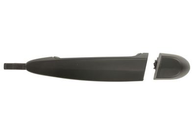 Exterior Door Handle BLIC 6010-05-020403P