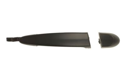 Exterior Door Handle BLIC 6010-05-020404P