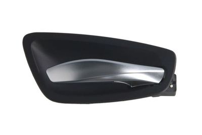 Exterior Door Handle BLIC 6010-05-020408P