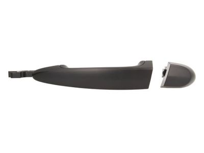 Exterior Door Handle BLIC 6010-05-021403P