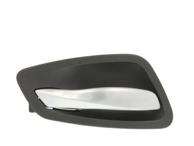 Exterior Door Handle BLIC 6010-05-021409P