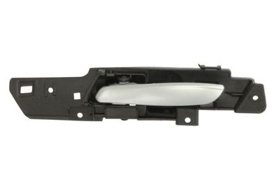 Exterior Door Handle BLIC 6010-05-022409TP