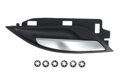 Exterior Door Handle BLIC 6010-05-027408P