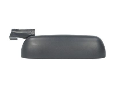 Exterior Door Handle BLIC 6010-07-013403P
