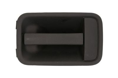 Exterior Door Handle BLIC 6010-07-014410LP