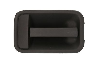 Exterior Door Handle BLIC 6010-07-014410P