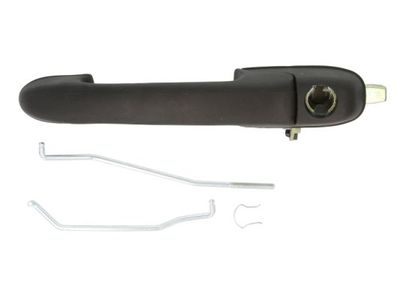 Exterior Door Handle BLIC 6010-07-017402P